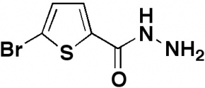 5-Bromo-2-thiophenecarboxylic acid hydrazide, 98%