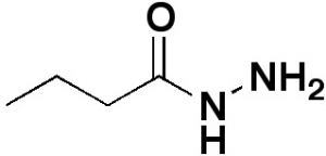 Butyric acid hydrazide, 98%