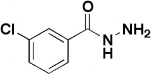 3-Chlorobenzhydrazide, 98%