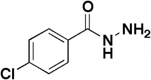 4-Chlorobenzhydrazide, 98%