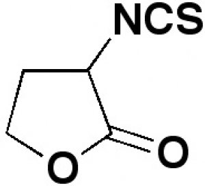 a-Isothiocyanato-DL-g-butyrolactone, 99%