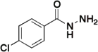 4-Chlorobenzhydrazide, 98%