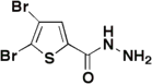 2,3-Dibromo-5-thiophenecarboxylic acid hydrazide