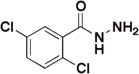 2,5-Dichlorobenzhydrazide, 98%