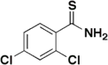 2,4-Dichlorothiobenzamide, 98%