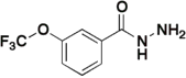 3-(Trifluoromethoxy)benzhydrazide
